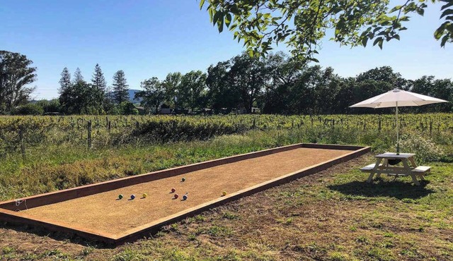 Healdsburg 3BR vineyard farmhouse with game barn & wood fireplace