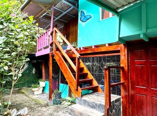 Hidden Jungle Beach House