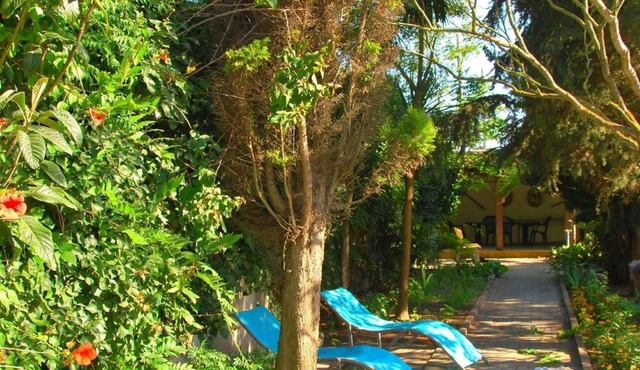 Holiday house Torres Vedras for 1 - 8 persons with 4 bedrooms - Holiday home