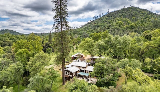 Homestead Ranch near Yosemite w/Horses & Chickens