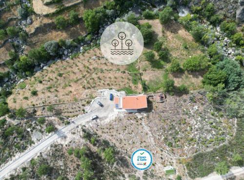 Hortelã da Ribeira - Serra da Estrela