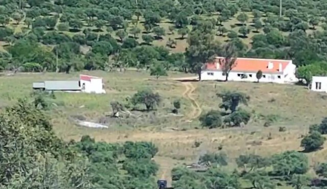 House near Elvas on Olive Farm