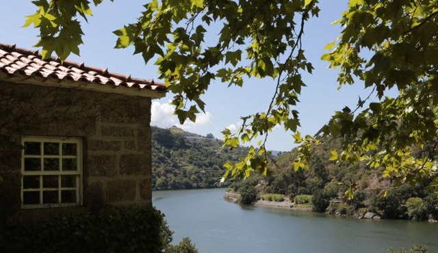 House of Figueira Velha | Resende | Douro