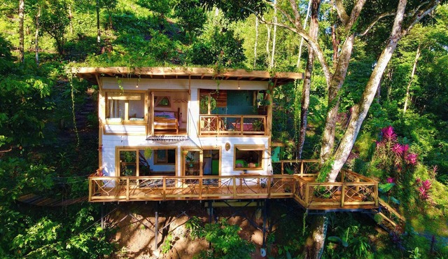 Jungle Spirit Treehouse