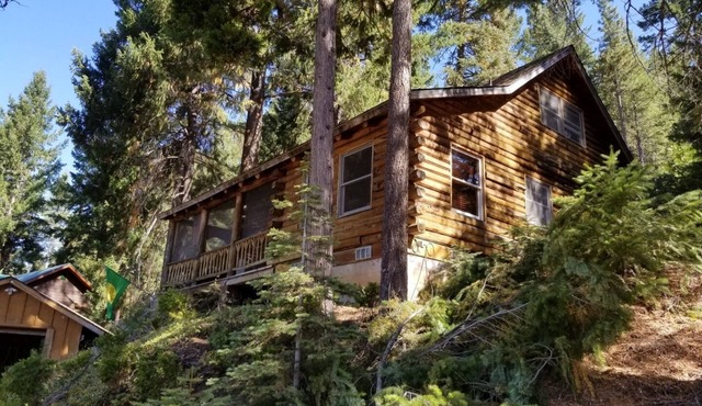 Lakefront views! Rustic Log Cabin Getaway