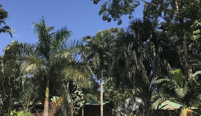Las Casas Costa Rica a private lodge in the Caribbean jungle