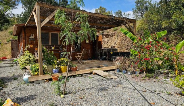 LemonTree Cabin
