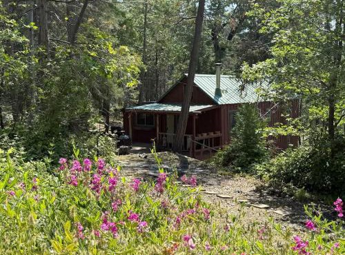 Little Cabin In The Woods in Camp Sierra & Big Creek