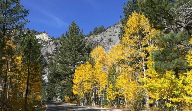 Loft Condo w/ Bonus Area - Creekside #7 by Bear Valley Vacation Rentals