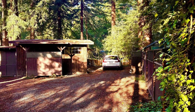 Loma Mar/Pescadero Charming Cabin in the Redwoods