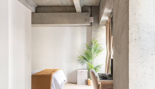 Lux Industrial loft in Central Downtown