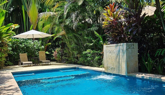 Luxurious tropical Villa closest to National Park🌊Pool&Oasis🌺 Beach walking👣