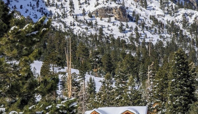 Luxury Cabin on Mount Charleston