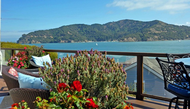 Luxury Two Bedroom on SF Bay - Fabulous Views and Pool