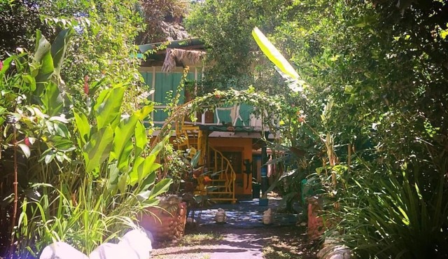 Madre Selva Jungle Hostel