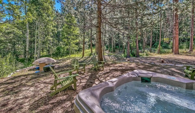 Magical Getaway in the Woods!