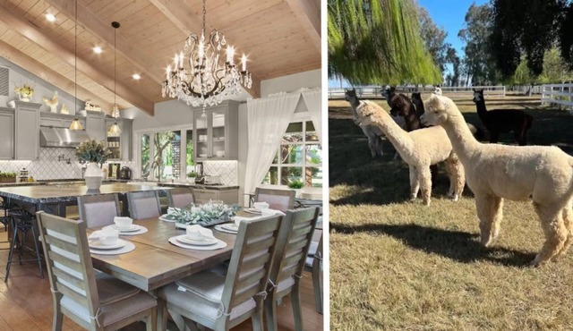 @ Marbella Lane - Alpaca Farm House l Pool