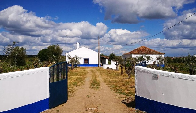 Monte dos Velhos