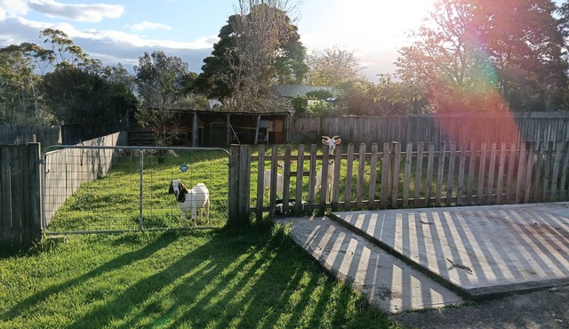 Musicians Residence with a strong lean to Nature.