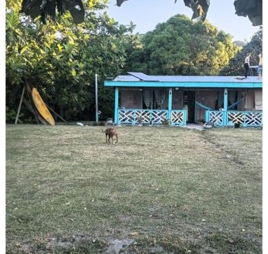 Nanz's Homestay