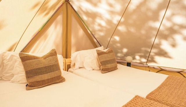 Nature Stay | 2.7 mi to Iberian Wolf Recovery Centre | Wellness Escape