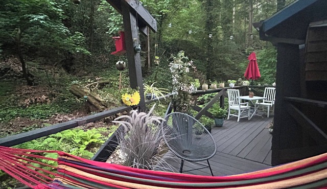 NEW Historic Santa Cruz Redwoods Retreat 1BR Cabin on a Serene Creekside Acre