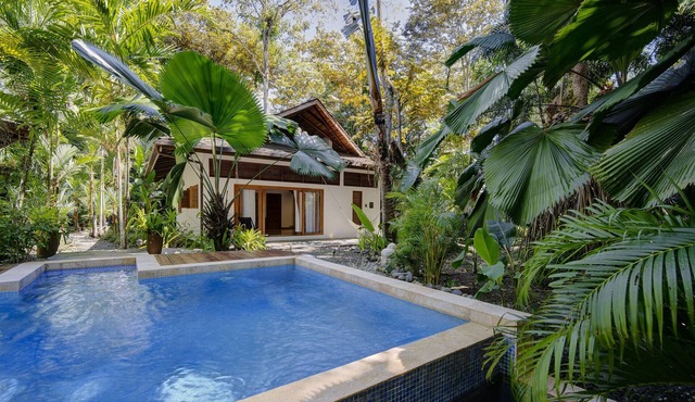 Nirvana House. Tropical balinese style house