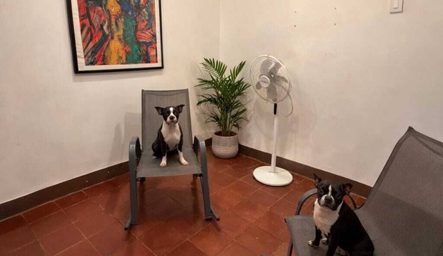 OC HOUSE: Pet Friendly with A/C and parking. Safe Zone 10 minutes from the Granada Center