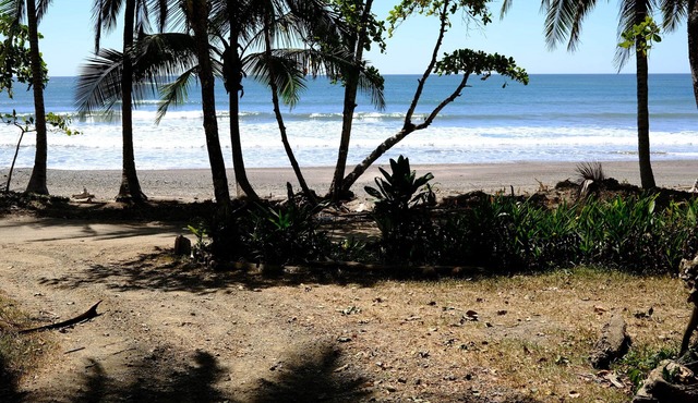 Ocean/Beachfront bungalow tiny house