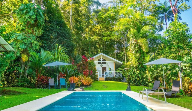Ocean view luxury property, AC, pool in the jungle at short walk to the beach.