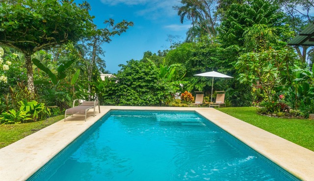 Ocean view luxury property with pool in the jungle at 10 min walk to the beach.