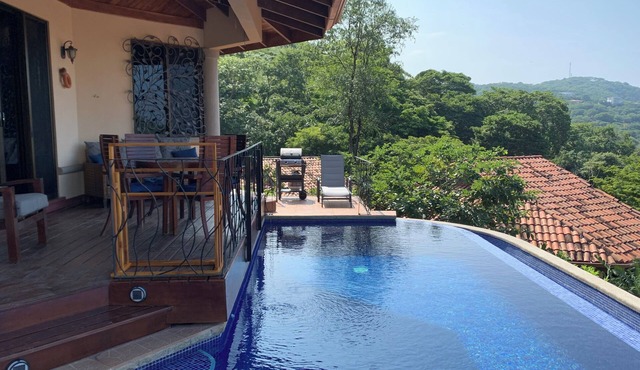 Ocean view with private pool