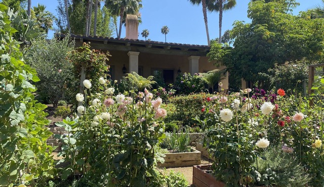 Orange Blossom Guesthouse - in the heart of Rancho Santa Fe, CA.