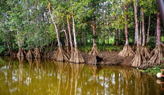 Oso de Osa, Away from mass-tourism