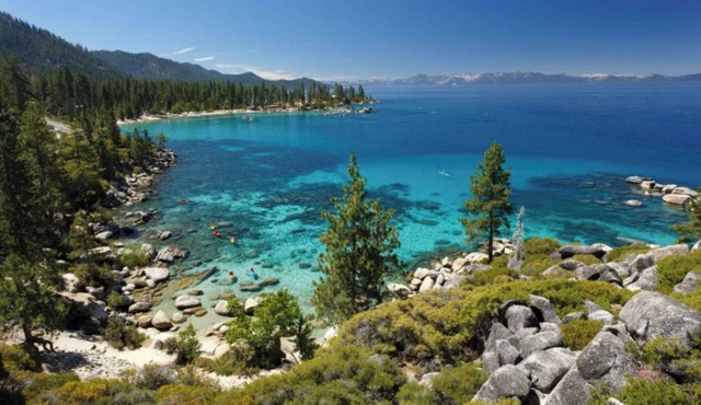 Owl's Peak by Avantstay Private Pine Tree Cabin Mins From The Water