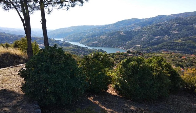 Paraíso Hills - Encostas do Paraíso: tranquilidade no Douro