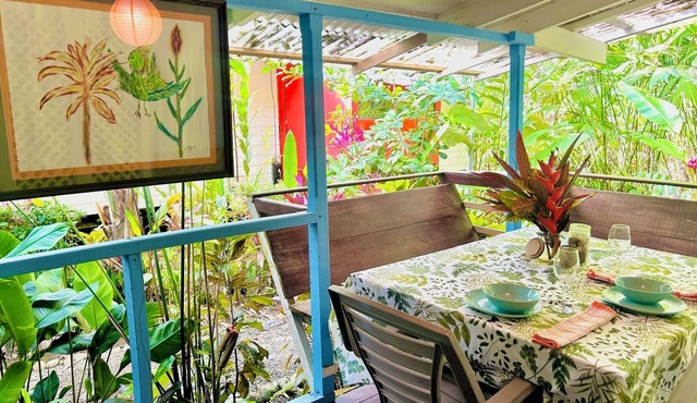 Party Time 4 Cabins 23 people Caribbean Costa Rican Fiesta Punta Uva