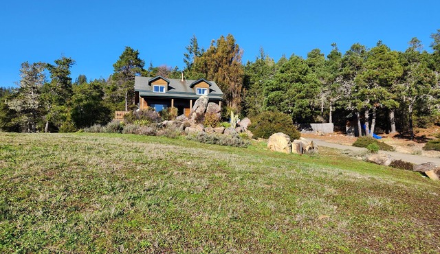 Peaceful Redwood Hollow is large, clean and pet friendly and with room to roam!n