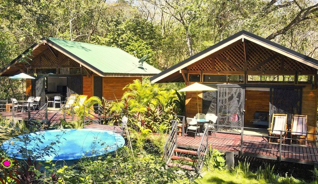 Private Eco Cabins in Birdwatching Paradise - Nicoya Gulf Forest Retreat