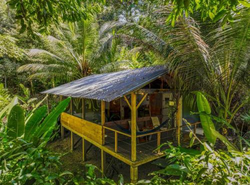 Private jungle “Loft del Rio” river access