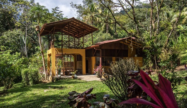 Private waterfall in Uvita, boho style house!