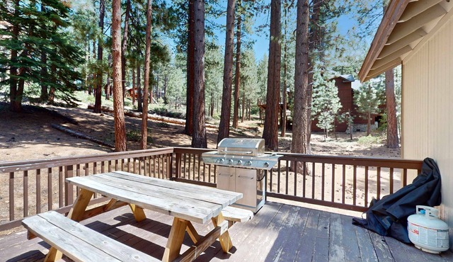 Professionally decorated mountain retreat with private hot tub & home theater