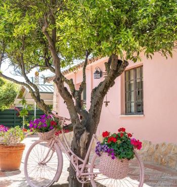 Quinta Aida Cottage and B&B Suites