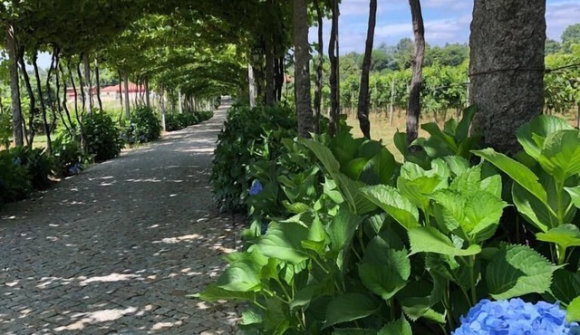 Quinta de Maderne