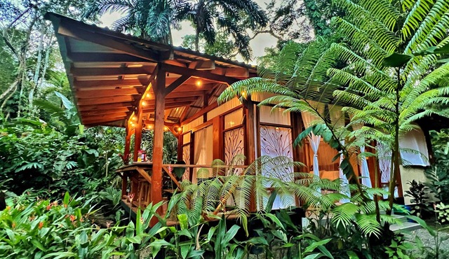 Rainforest glamping experience with private plunge pool in jungle garden