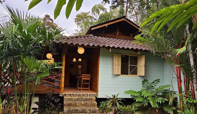 Rameen Cozy house in nature