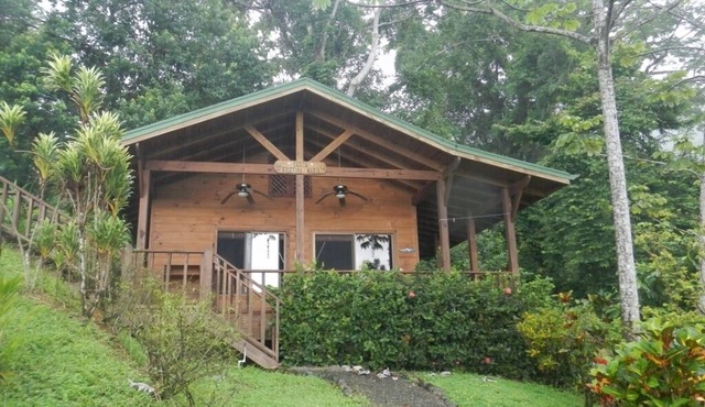 Relax surrounded by Wildlife, Rainforest, Ocean view, Beach Club, Hi speed Wi-Fi