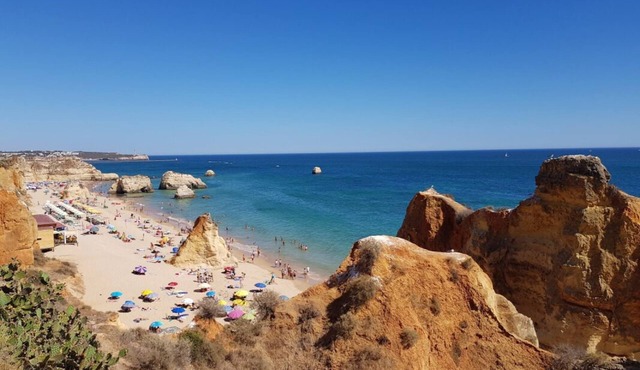 Relaxing Getaway Awaits! Three Large 2BR Apartment with Kitchen, 3 Onsite Pools!