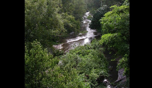 RiverFront TREEHOUSE Inspiring Rental Ancient REDWOODS AMAZING VIEWS!!