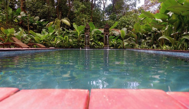 Romantic Jungle Escape with Private Pool – Ultimate Relaxation